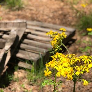 Meet your Posher, Jasey